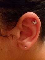 Piercing Tragus Dourado Cartilagem Pedra Mini Borboleta 6mm