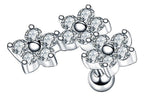 Piercing Cluster Helix Cartilagem  Pedras De Zirconia Flor