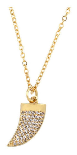 Colar Dente De Tigre Pedra Zirconia Dourado Chifre