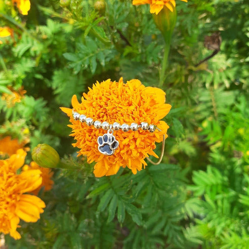 Pulseira Infantil Pingente Pet Patinha Folheada Semi Joia