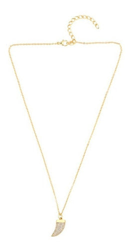 Colar Dente De Tigre Pedra Zirconia Dourado Chifre