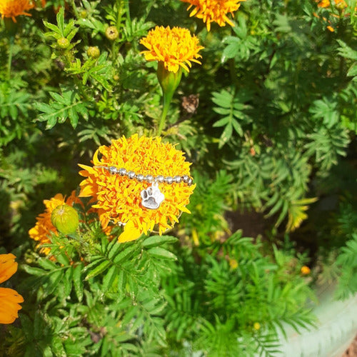 Pulseira Infantil Pingente Pet Patinha Folheada Semi Joia