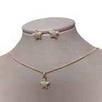 Conjunto Colar E Brinco Pedra Zirconia Estrela Banhado Ouro