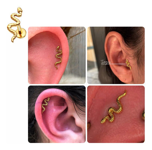 Piercing Tragus Cartilagem Cobra Aço Cirúrgico Helix Conch