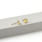 Brinco Concha Do Mar Moda Praia Dourado Folheado A Ouro 18k