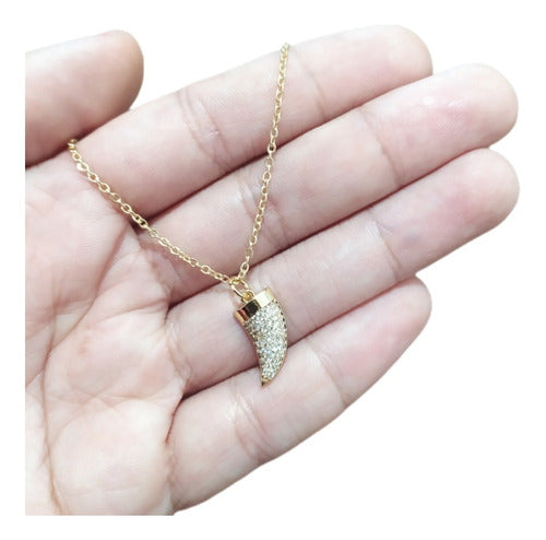 Colar Dente De Tigre Pedra Zirconia Dourado Chifre